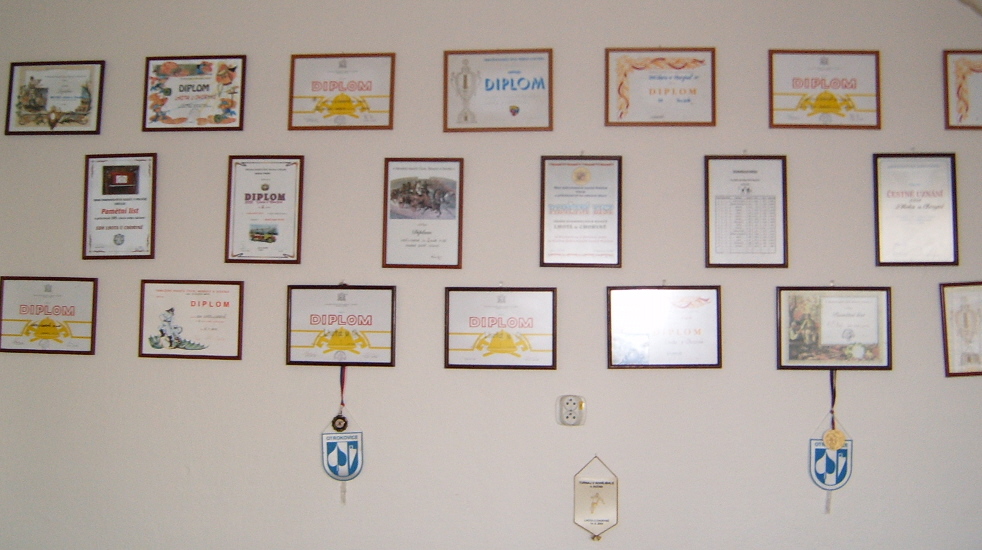 Diplomy 1